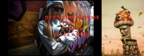 а пвп мука Абдулино
